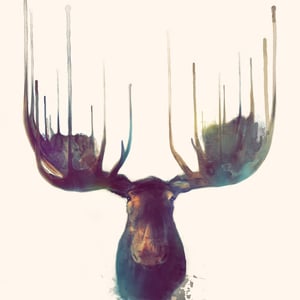 Profile picture for .Unia.