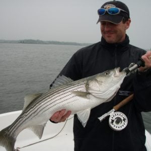 Profile picture for Pete McDonald