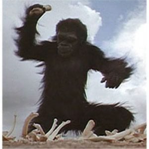 Profile picture for julius Balcikonis