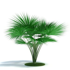 Profile picture for Gregory Zukauskas