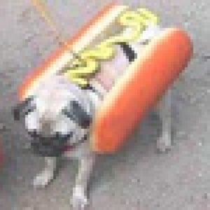 Profile picture for frankbklyn