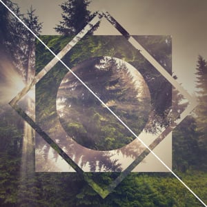 Profile picture for Robert Dorn