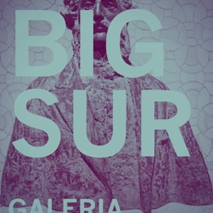 Profile picture for Big Sur®