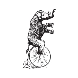 Profile picture for Cobble Hill