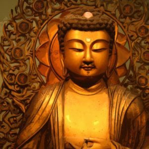 Profile picture for Stephen Yamada