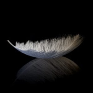 Profile picture for Cristóbal Vila