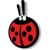 CoccinellaTeam