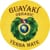 Guayaki