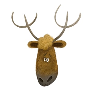 Profile picture for Coen Hamelink