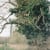 jamie quantrill