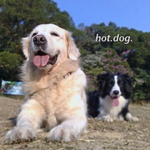 Profile picture for Furkids