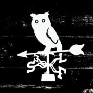 Profile picture for self aviary