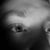Jared Worthington