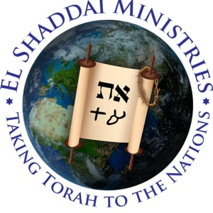 Profile picture for El Shaddai Ministries