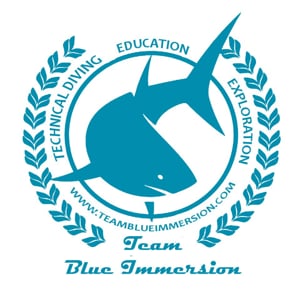 Profile picture for Team Blue Immersion
