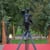 ASFAH VIDEO™ HD