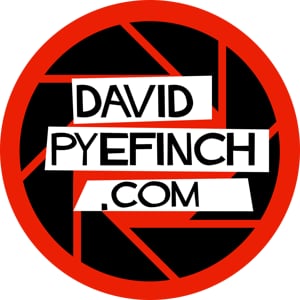 Profile picture for David Pyefinch
