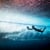 Morgan Maassen