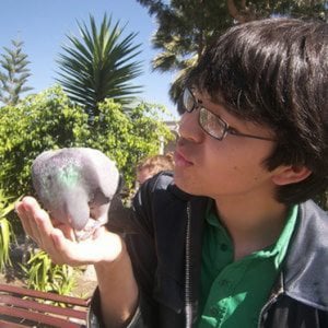 Profile picture for Jeffrey Warren