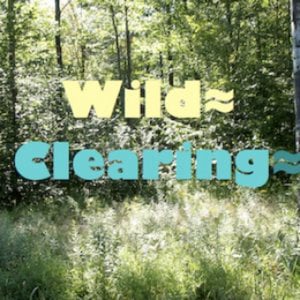 Profile picture for Wes Rehberg