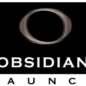 Profile picture for Obsidian