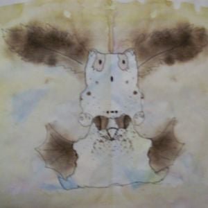 Profile picture for rachel bird