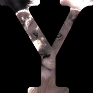 Profile picture for yamajyaki