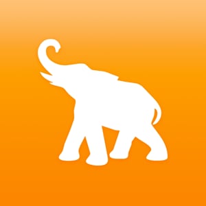Profile picture for elephorm
