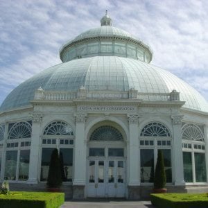 Profile picture for The New York Botanical Garden
