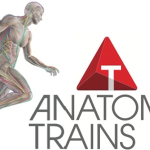 Profile picture for AnatomyTrains