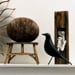 Housebird