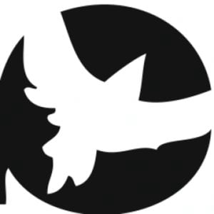 Profile picture for milosport.com