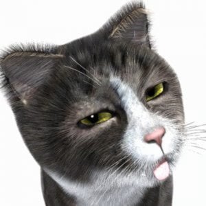 Profile picture for Wetcircuit