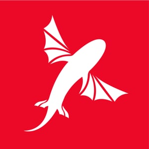 Profile picture for Best Kiteboarding