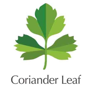 Profile picture for Coriander Leaf