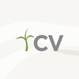Profile picture for CV Africa