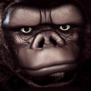 Profile picture for The Guerrilla CG Project