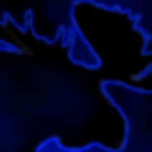 Profile picture for Phantom Moose Films