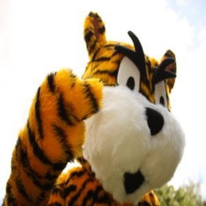 Profile picture for Ash Parker
