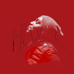 Profile picture for Mister Mildor