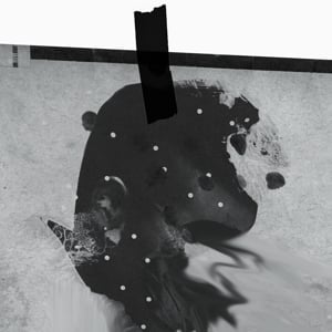 Profile picture for AniMel