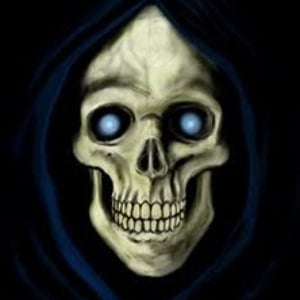 Profile picture for Adrian de Beer