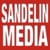 Rabbe Sandelin