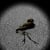 Magpie Productions