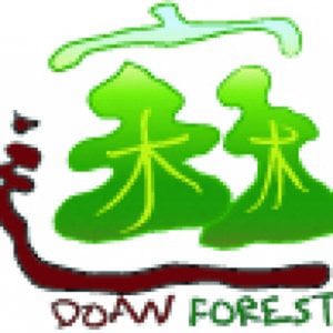 Profile picture for DoAn Forest