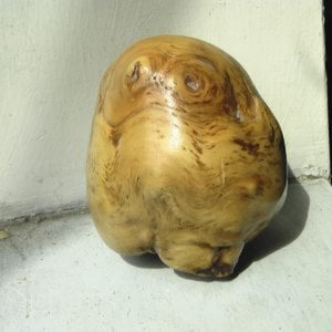 Profile picture for gordon mccann