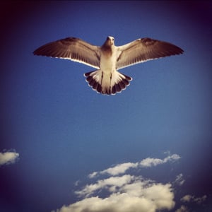 Profile picture for Mark Lieberman