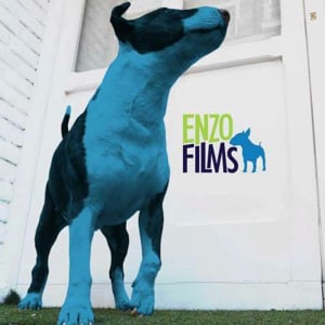 Profile picture for Enzo Films