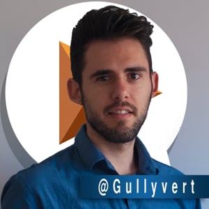 Profile picture for Gullyvert