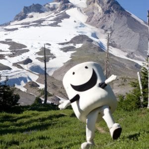 Profile picture for High Cascade Snowboard Camp